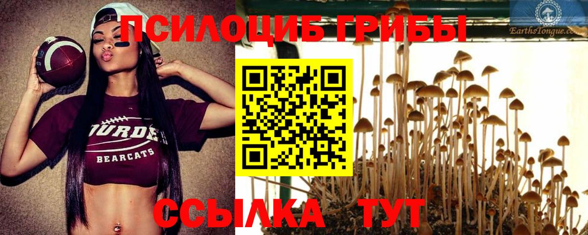 ГАШИШ  Alpha PVP СК кристаллы  Конопля  Как найти наркотики?  Обь  Вход с VPN  Меф МЯУ МЯУ   Cocaine  МЕФ 