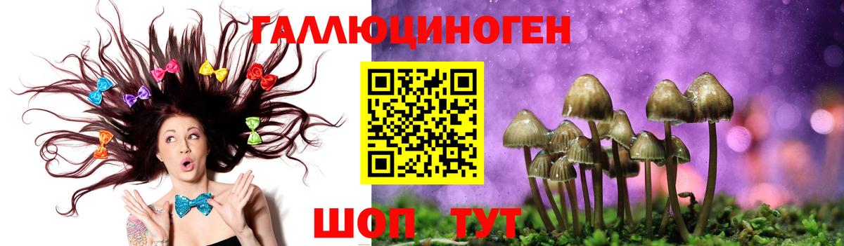 Псилоцибиновые грибы MAGIC MUSHROOMS Обь